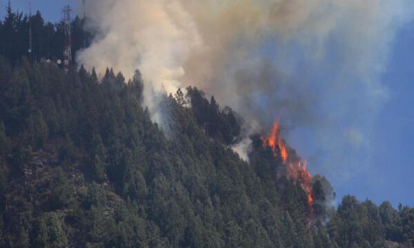 Continúan los incendios forestales en Bogotá