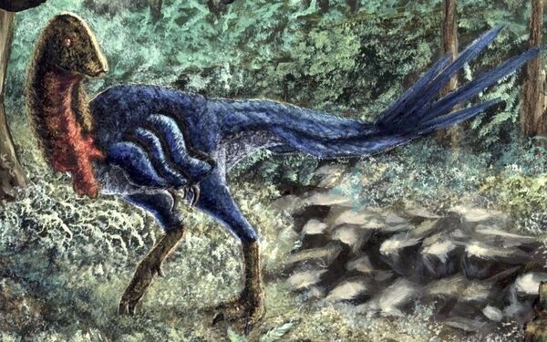 Descubren nueva especie de dinosaurio emplumado: ‘pollo del infierno’