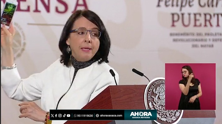 «María Elena Álvarez-Buylla, directora del CONAHCYT, advierte sobre certificación en gafas para observar el eclipse