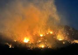 Despliegue de mil Brigadistas para controlar incendios en Parque Nacional de Acapulco