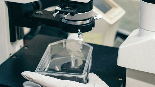 IA de Google predice la estructura e interacciones de todas las moléculas de la vida