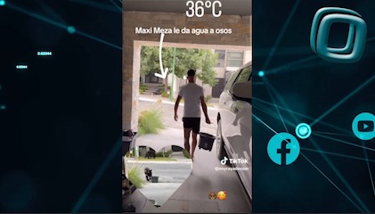 Maxi Meza ofrece agua a osos tras las altas temperaturas en el norte del país