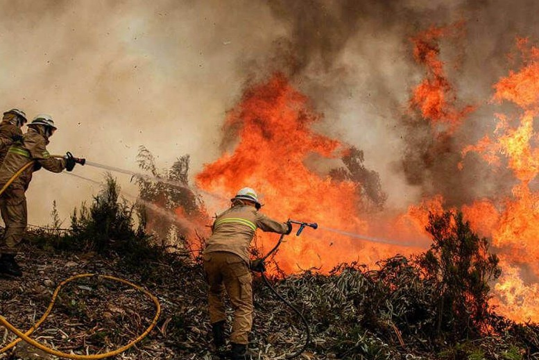 México en llamas y las  propuestas ambientales en la sombra
