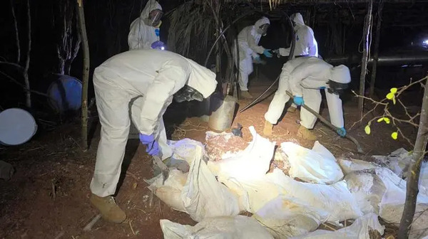 Confiscan 320 mil pastillas de fentanilo en Guadalajara