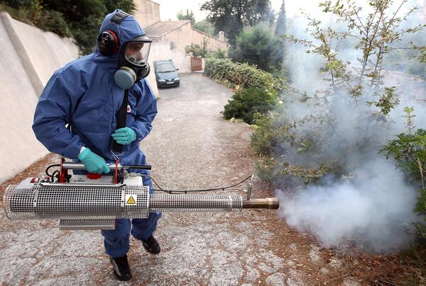 Aumento de los casos de dengue pone en alerta a Francia de cara a los Juegos Olímpicos