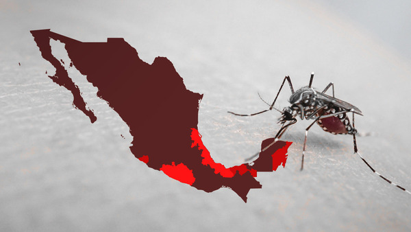 Casos de dengue se disparan en México 388.7% en un año