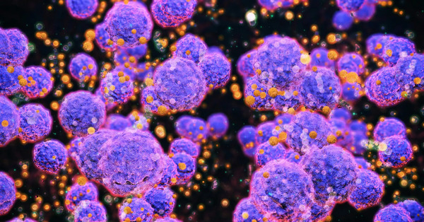 Bacteria carnívora se propaga en Japón, ¿es mortal?