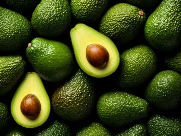 Gobierno de EE.UU. suspende la importación de aguacates de Michoacán