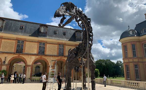 En Francia, subastarán esqueleto de dinosaurio de 21 metros de largo