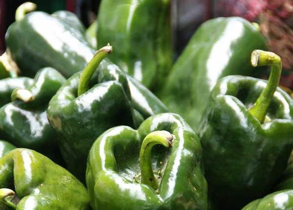 Cómo reconocer un chile poblano auténtico y evitar los chiles piratas