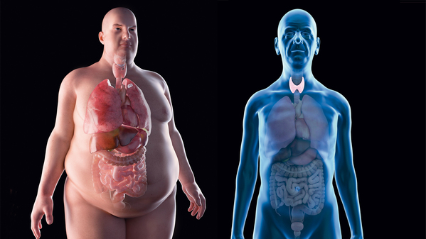 Reportan medicamentos falsos para el hipotiroidismo