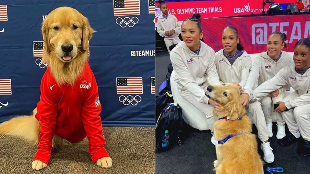 Beacon, el perro de terapia que cautiva en los Juegos Olimpicos