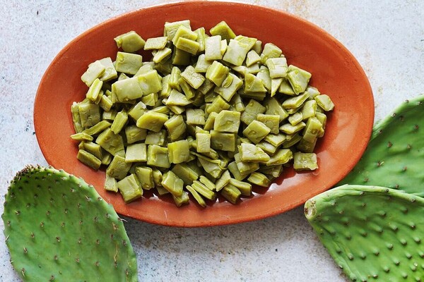 Estas son las propiedades curativas del nopal