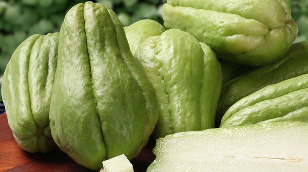 ¿Cuáles son las propiedades curativas del chayote?