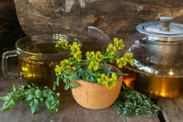 ¿Cuáles son las propiedades curativas de la infusión de ruda?