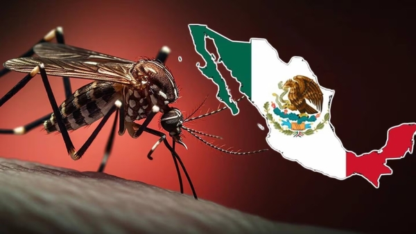 Casos de dengue suben un 239% en México