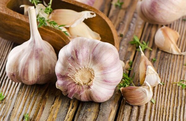 ¿Qué pasa si comes ajo en ayunas todos los días?