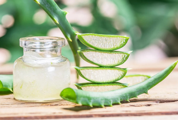 ¿Cómo usar aloe vera para eliminar las ojeras?