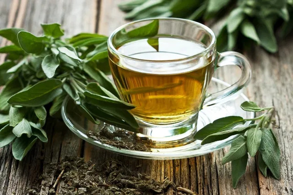 ¿Qué le pasa al cuerpo al tomar té verde en exceso?