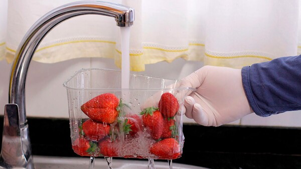 ¿Qué pasa si no desinfectas las fresas?