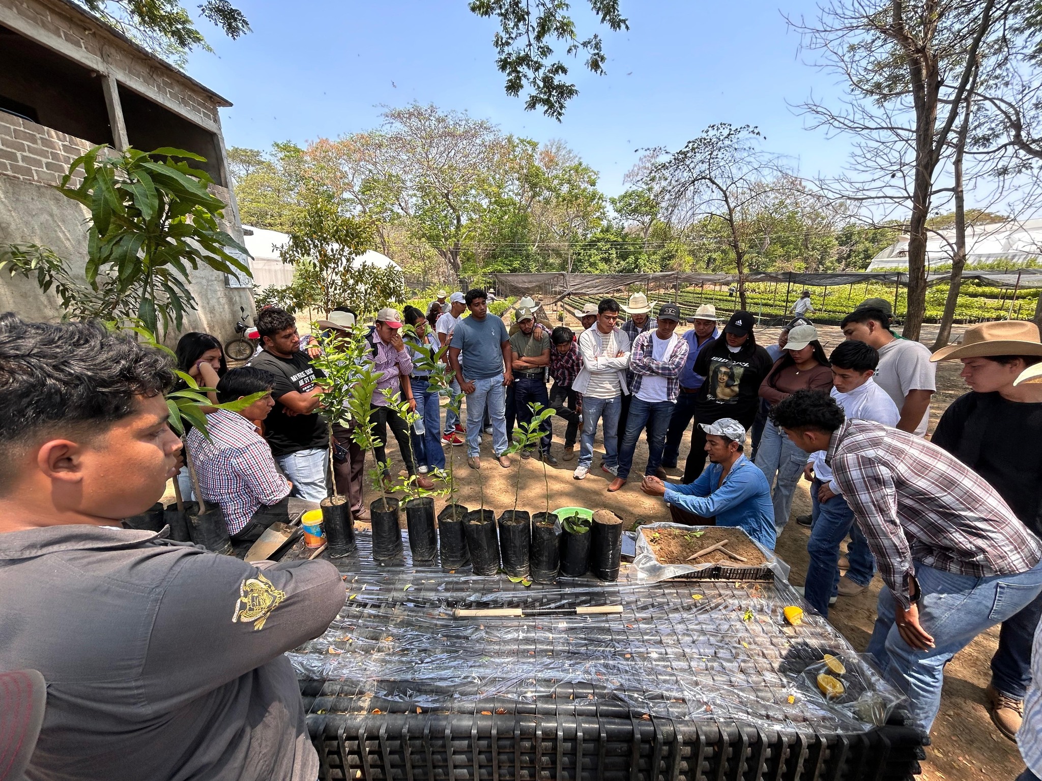 Estudiantes de la Universidad Autónoma Agraria Antonio Narro fortalecen prácticas en vivero de la SAGyP