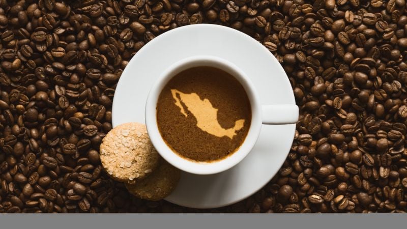 Concanaco promoverá el término “café mexicano” en sustitución del “café americano”