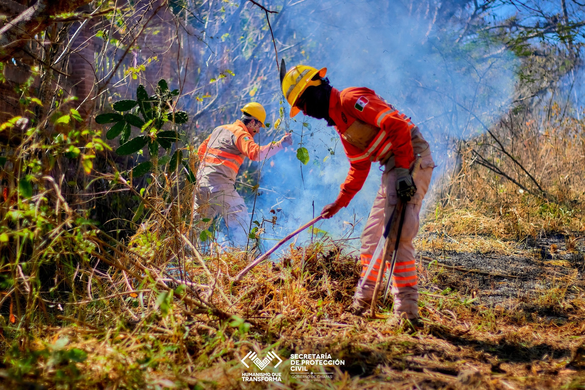 Temporada de prevención y combate de incendios mantiene tendencia positiva