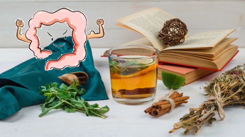 3 hierbas medicinales que te ayudarán a mejorar tu digestión