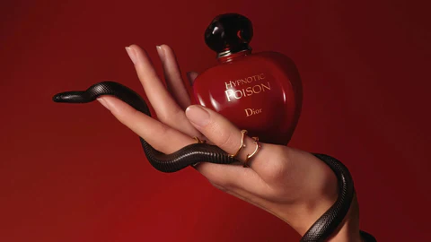 El perfume de Zara que huele como Hypnotic Poison de Dior, pero es más barato