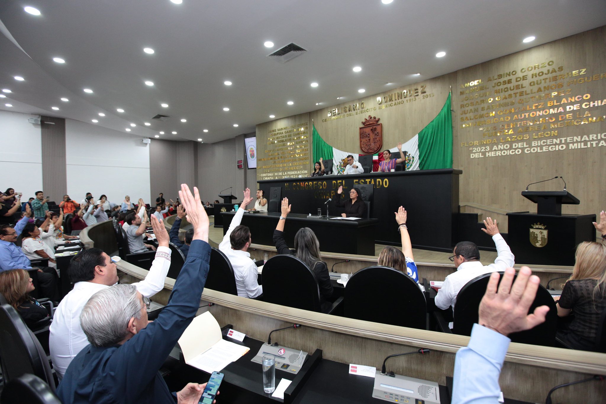 Pide Congreso intensificar programas de reforestación en municipios