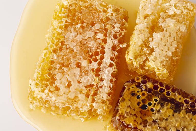 Mieles de México: cuáles son y cómo distinguirlas según la flor y el estado