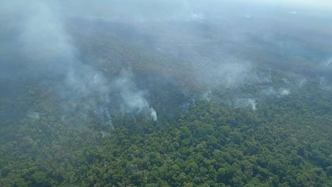 Incendio consume 826 hectáreas de selva lacandona en Chiapas