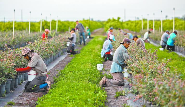 Cae envío de remesas y golpea a Chiapas: peligra una de cada tres fuentes de ingreso familiar