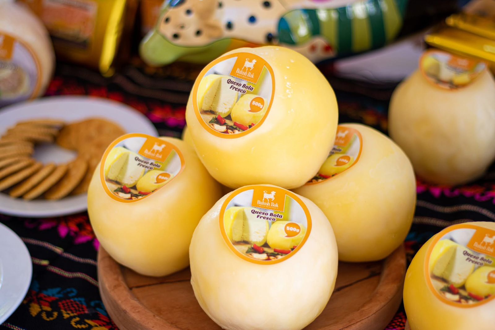 La Ruta del Queso en Ocosingo: tradición, sabor y cultura