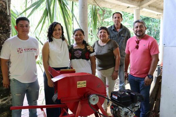 Más árboles para Yucatán gracias a reforestación sustentable en Xocén