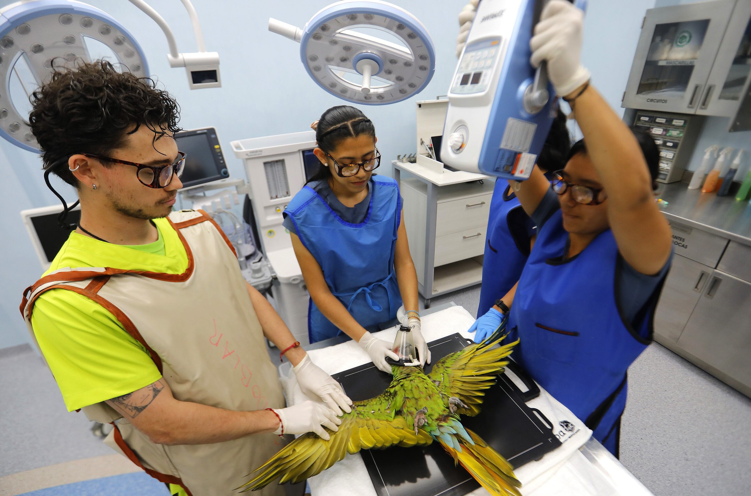 Un zoológico en el oeste de México es refugio de 300 especies, 85% en peligro de extinción