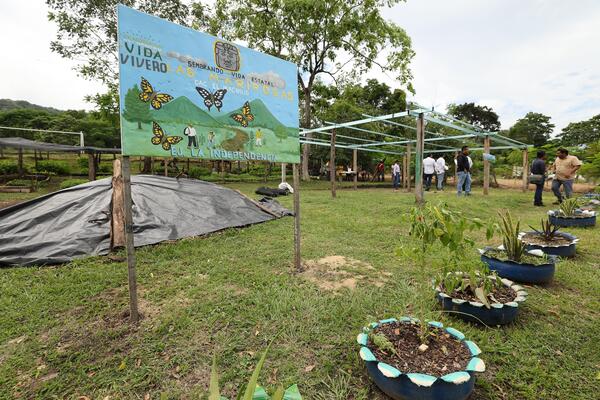 Sembrando Vida acorta brechas de desigualdad, genera empleo y recompone tejido social