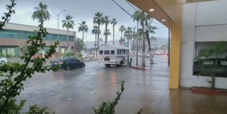 Alerta por “Priscilla”: suspenden clases en La Paz y Los Cabos