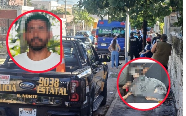 Autoridades investigan caso de perro herido con arma de fuego en Mérida