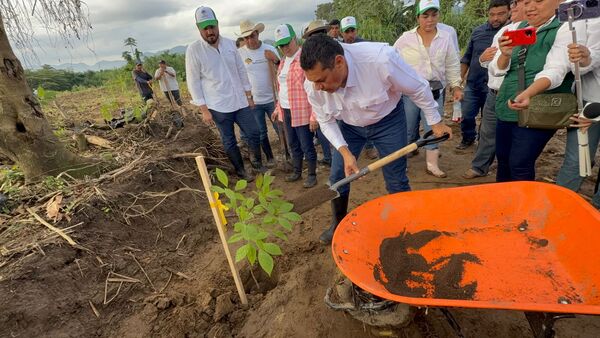 Supera Tabasco meta de reforestación 2025
