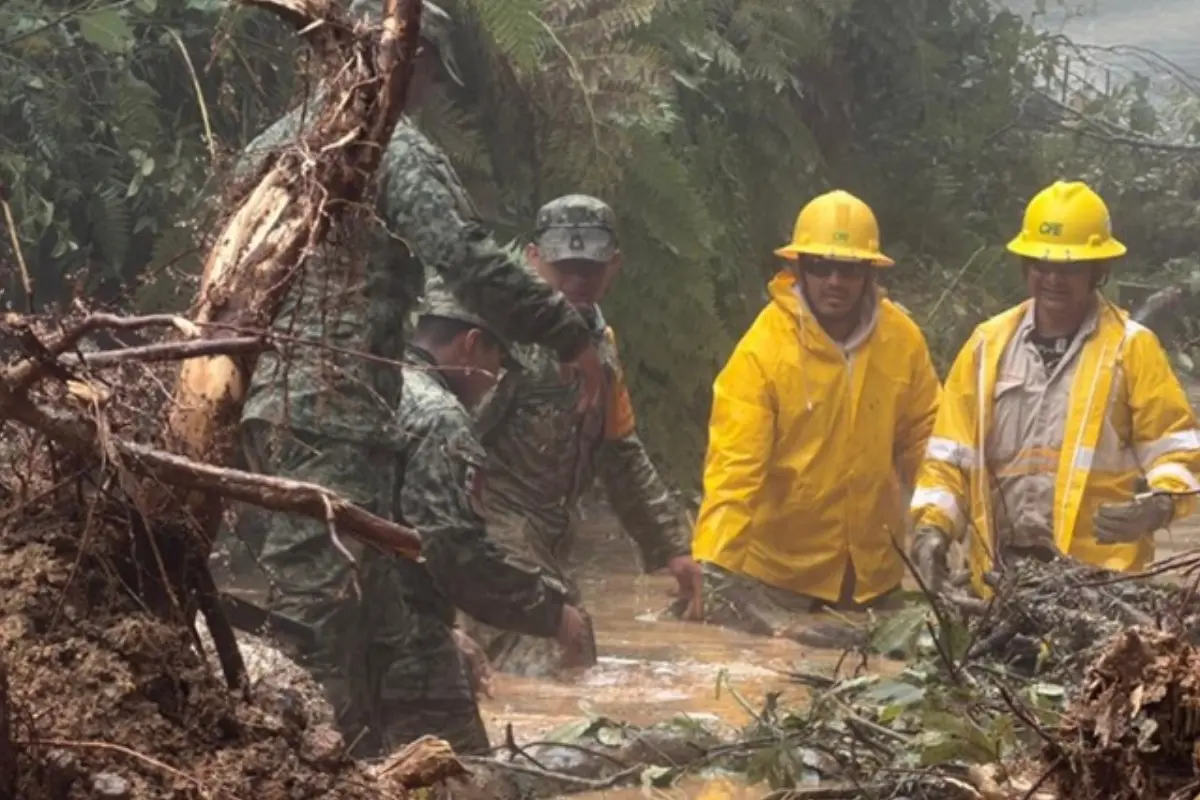 CFE ha restablecido en 95.4% el suministro eléctrico en estados afectados por las lluvias