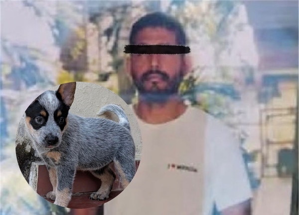 Tras las rejas, acusado de crueldad animal contra la perrita ‘Sicilia’