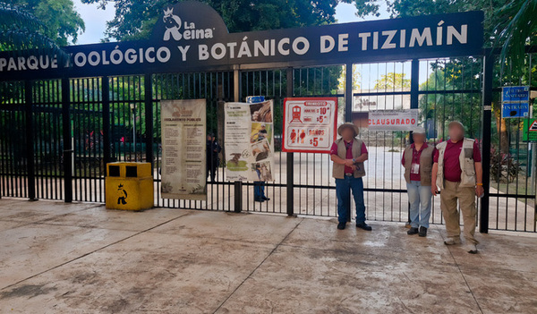 Profepa clausura zoológico La Reina, de Tizimín, por faltas al trato digno de los animales