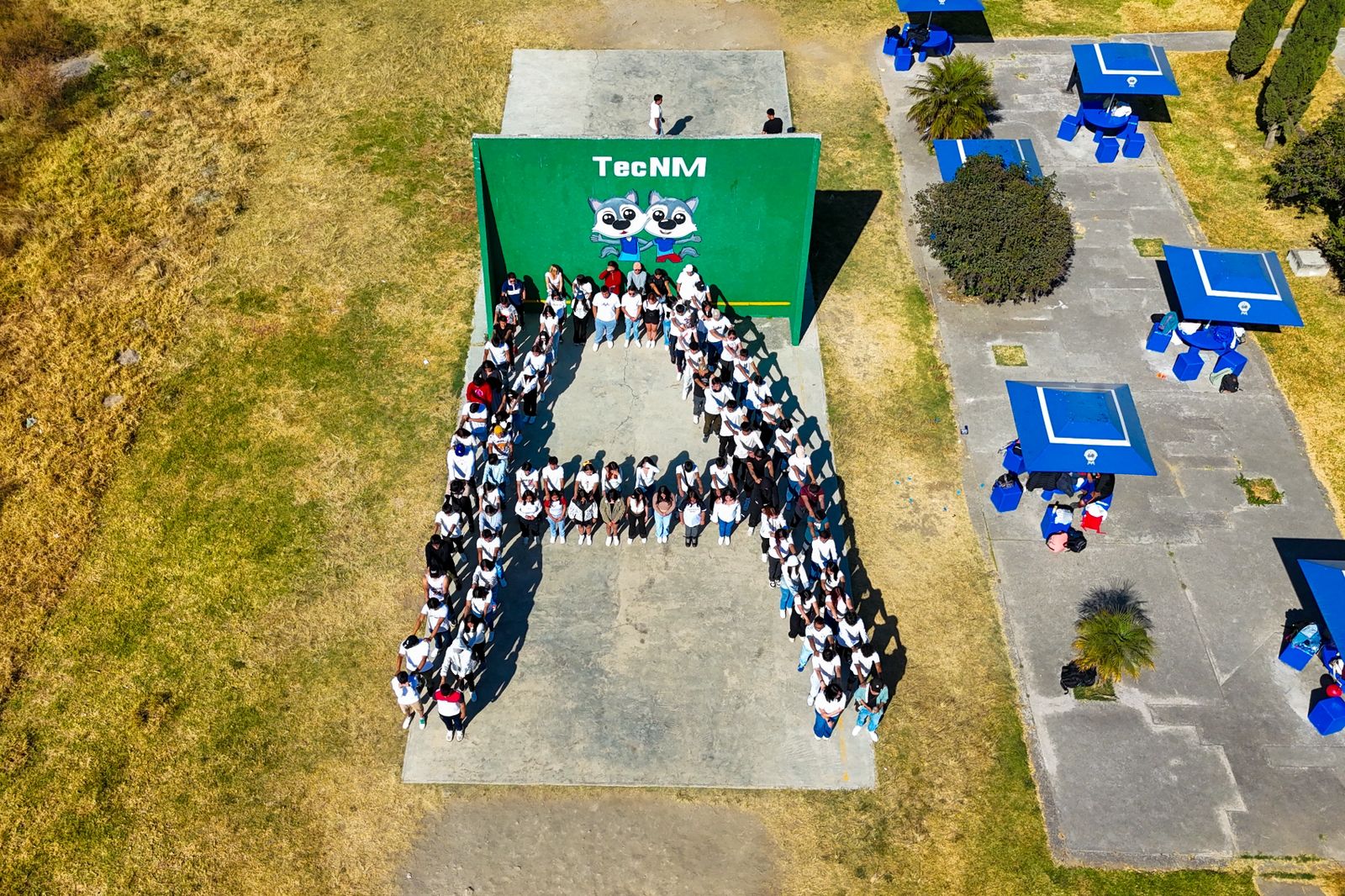 Convoca IMJUVE a jóvenes de todo México a sumarse al “mosaico por la paz y contra las adicciones”