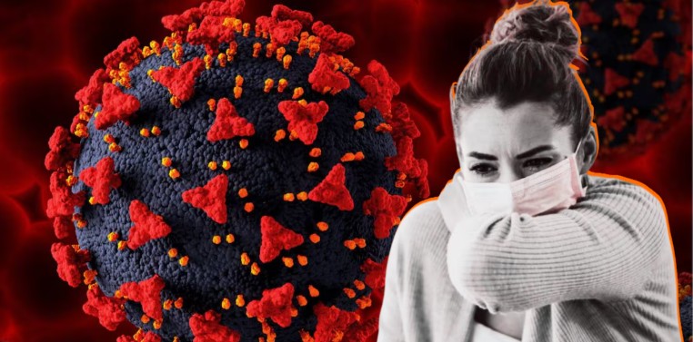 Influenza H3N2 no representa riesgo de pandemia: Ssa