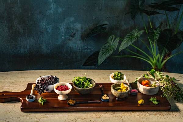 ¿Cuáles son las tendencias gastronómicas que marcarán al 2026?