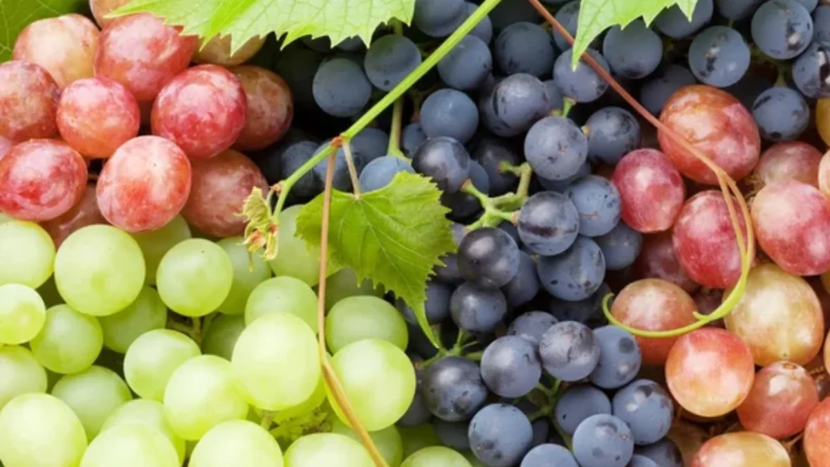 Las uvas: el fruto estrella de diciembre