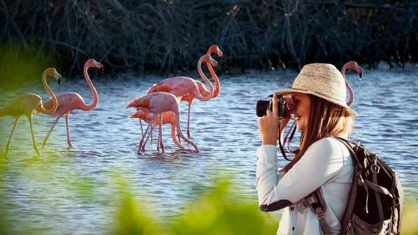 Turismo en Yucatán crece 13.5 por ciento entre enero y octubre