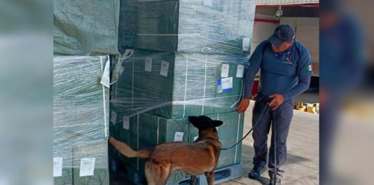 Aseguran casi 20 toneladas de cigarros ilegales en el AICM; provenían de Japón