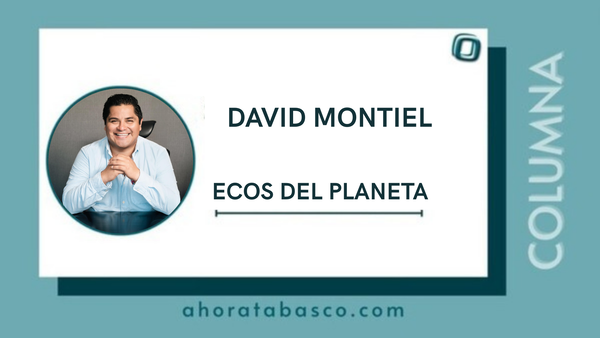 Más allá del like: la verdadera influencia de los creadores de contenido